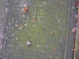 image of grave number 141326